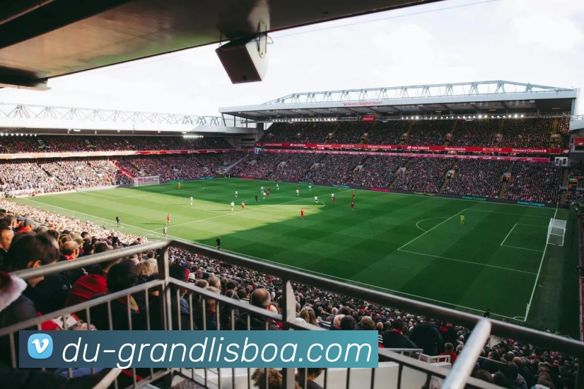 新葡京娱乐服务体系